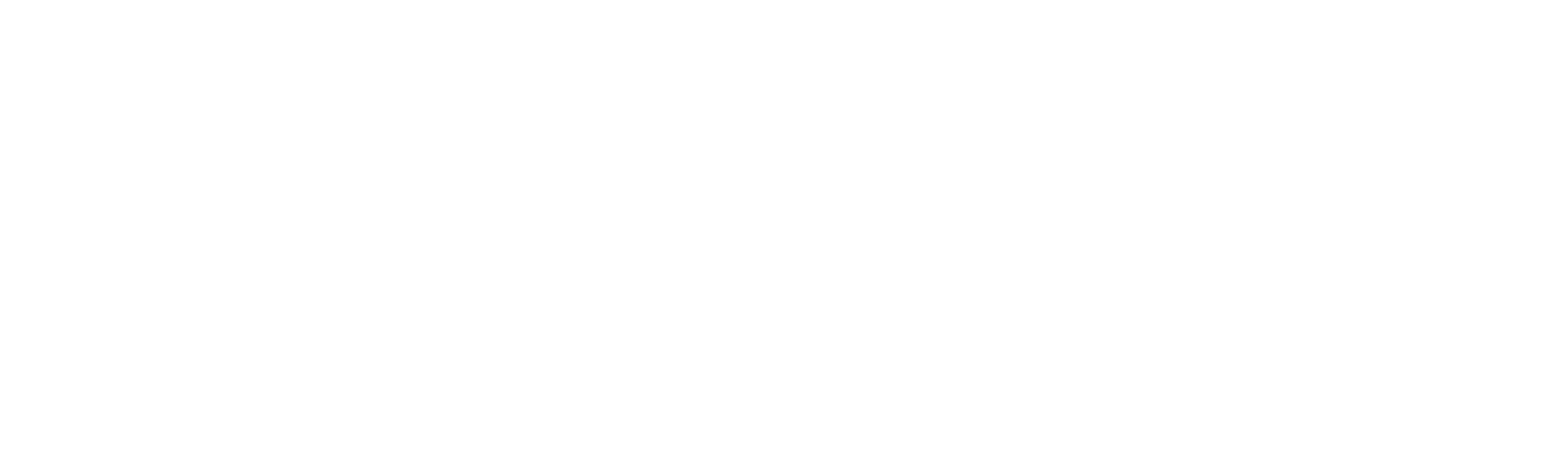 Visualized logo (dark)
